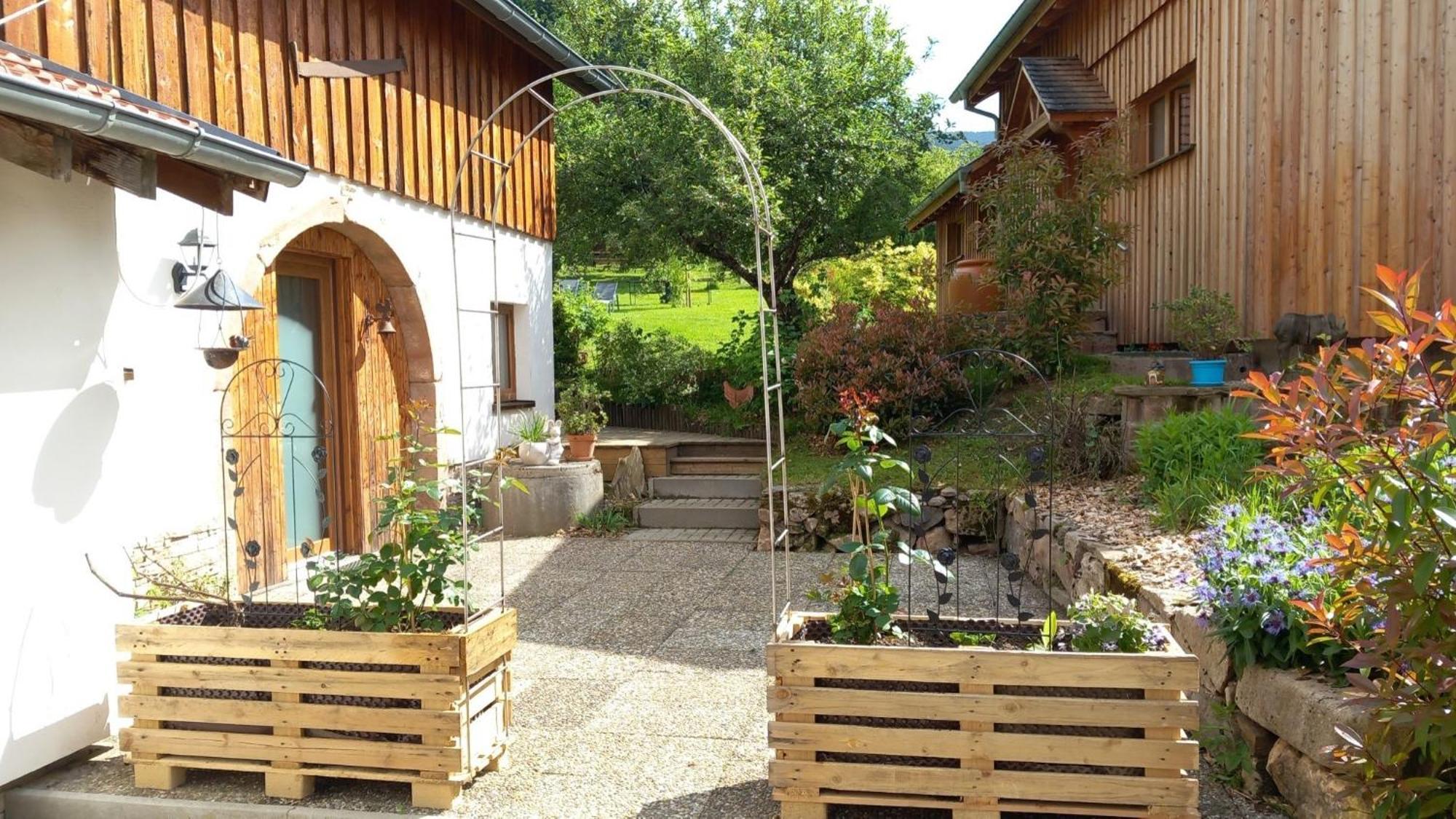 Cocon De St Pierre Apartamento Sainte-Marie-aux-Mines Exterior foto
