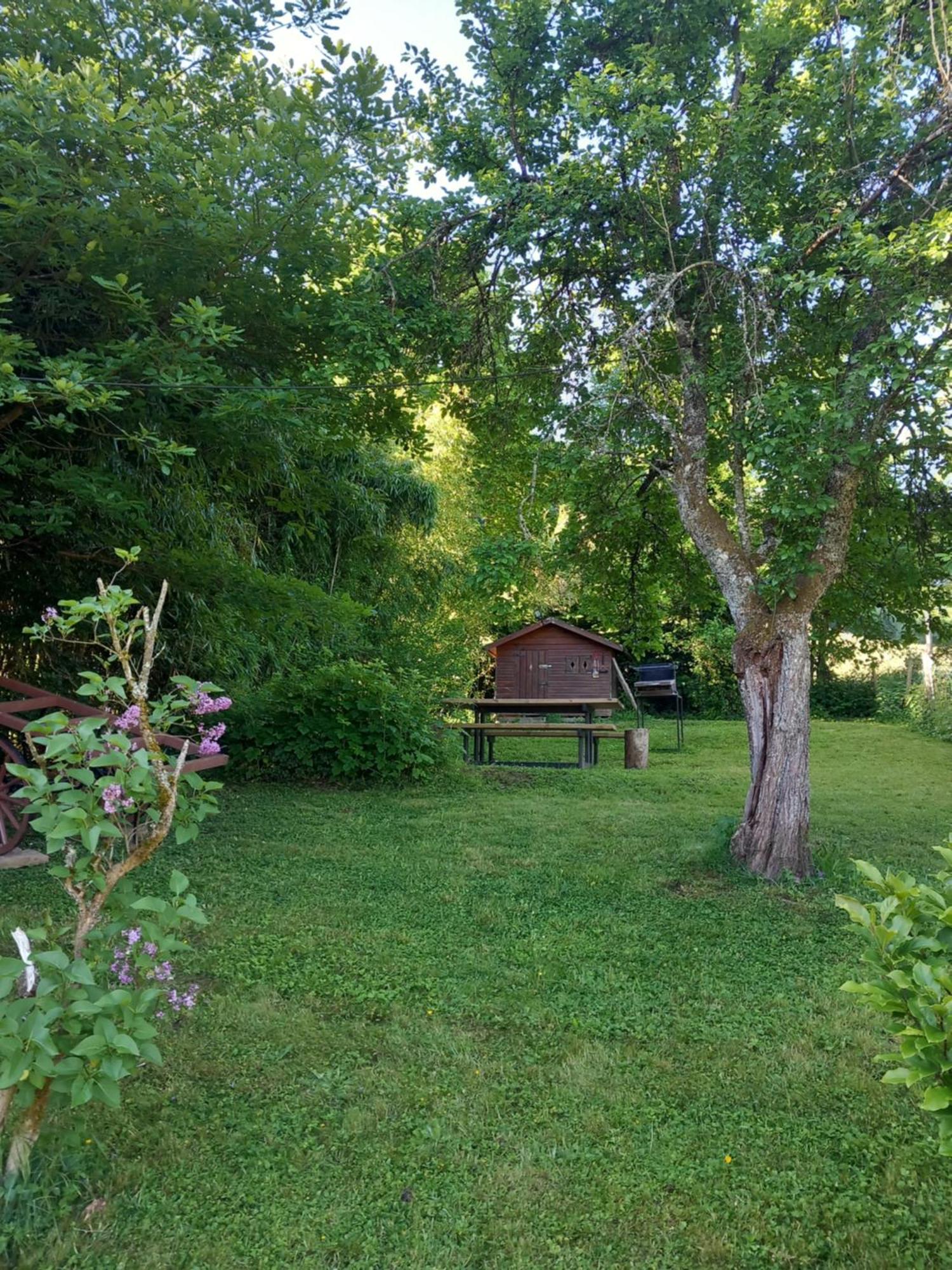 Cocon De St Pierre Apartamento Sainte-Marie-aux-Mines Exterior foto